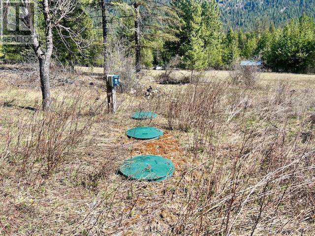 6914 95 Highway, Kingsgate, British Columbia  V0B 1V1 - Photo 10 - 10340397