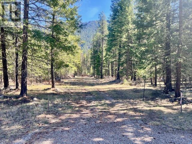 6914 95 Highway, Kingsgate, British Columbia  V0B 1V1 - Photo 14 - 10340397