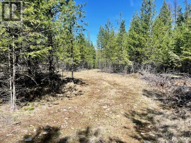 6914 95 Highway, Kingsgate, British Columbia  V0B 1V1 - Photo 18 - 10340397