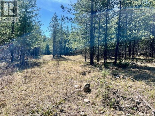 6914 95 Highway, Kingsgate, British Columbia  V0B 1V1 - Photo 20 - 10340397