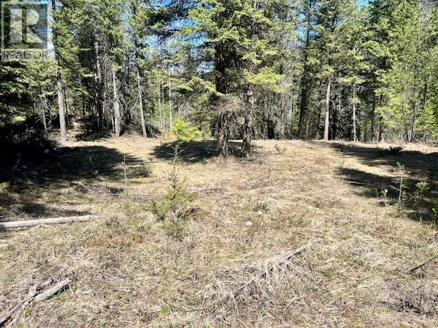 6914 95 Highway, Kingsgate, British Columbia  V0B 1V1 - Photo 21 - 10340397