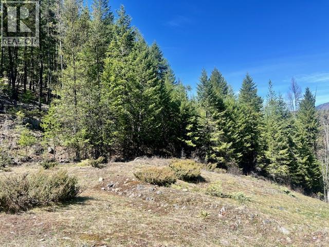 6914 95 Highway, Kingsgate, British Columbia  V0B 1V1 - Photo 23 - 10340397