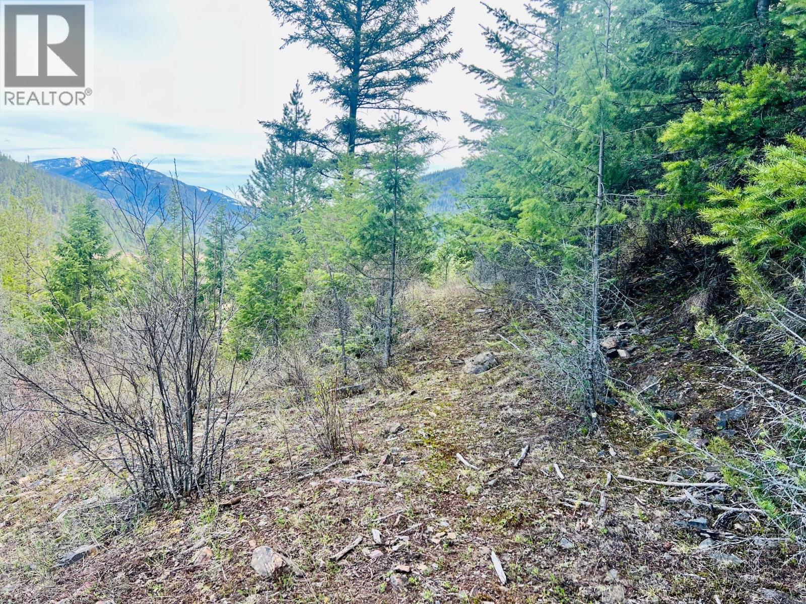 6914 95 Highway, Kingsgate, British Columbia  V0B 1V1 - Photo 29 - 10340397