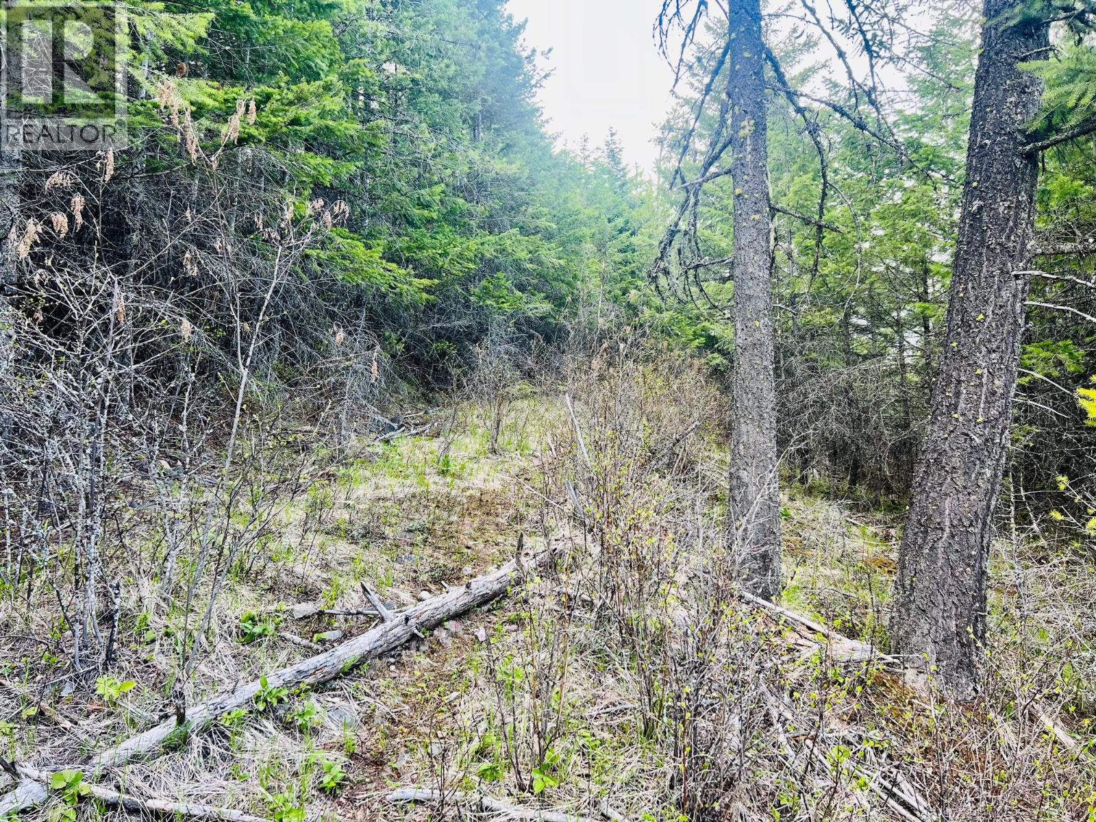 6914 95 Highway, Kingsgate, British Columbia  V0B 1V1 - Photo 30 - 10340397