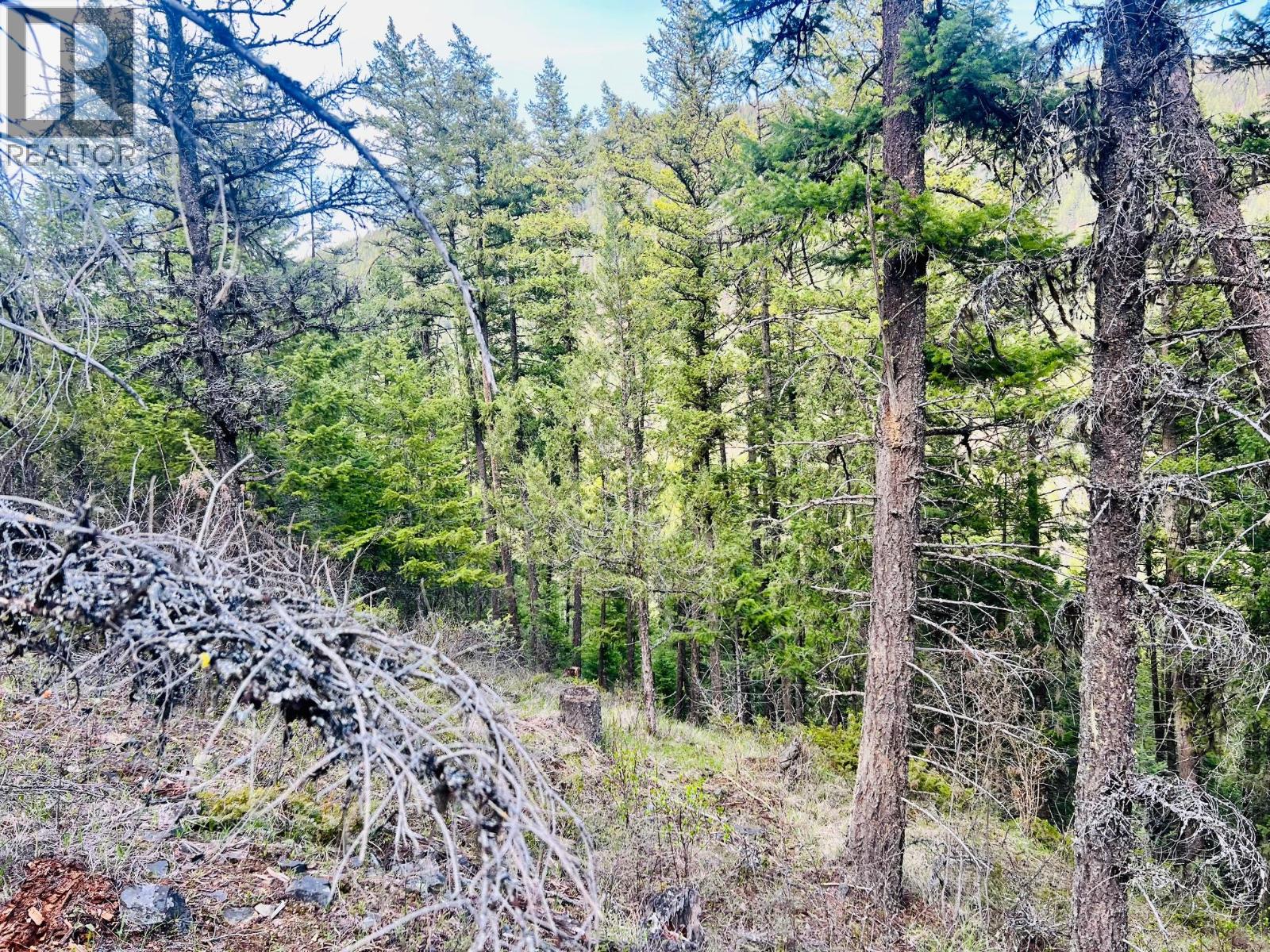 6914 95 Highway, Kingsgate, British Columbia  V0B 1V1 - Photo 31 - 10340397