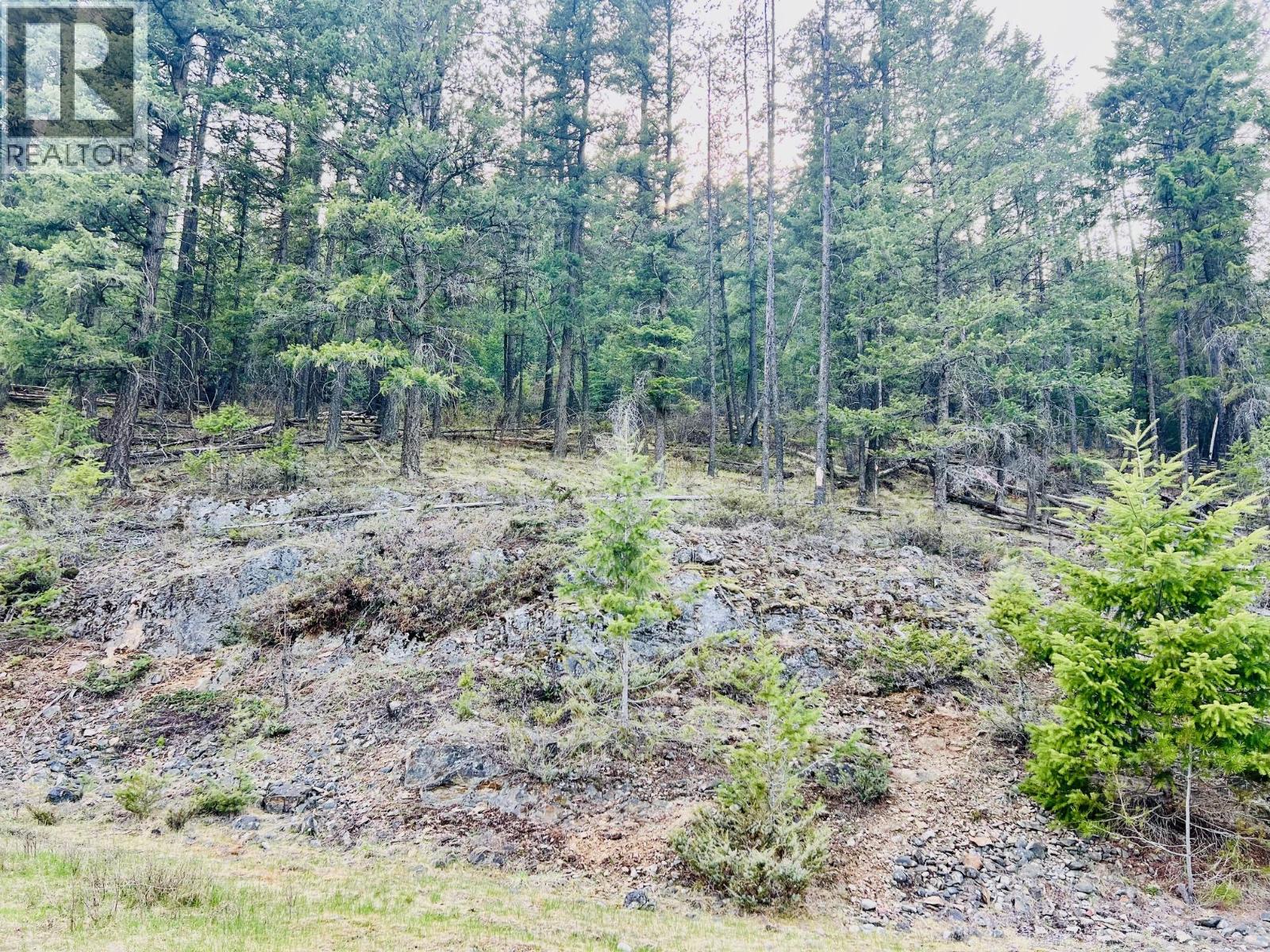 6914 95 Highway, Kingsgate, British Columbia  V0B 1V1 - Photo 38 - 10340397