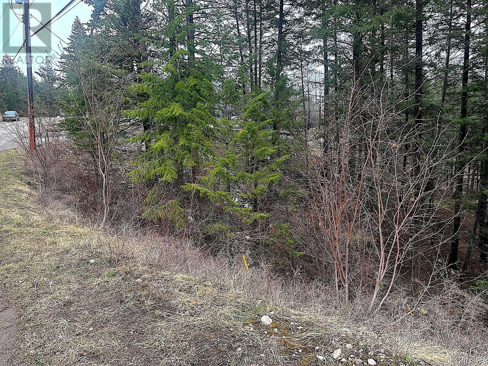 Lot 91 Houghton Road Lot# 91, Vernon, British Columbia  V1H 2C9 - Photo 3 - 10340509