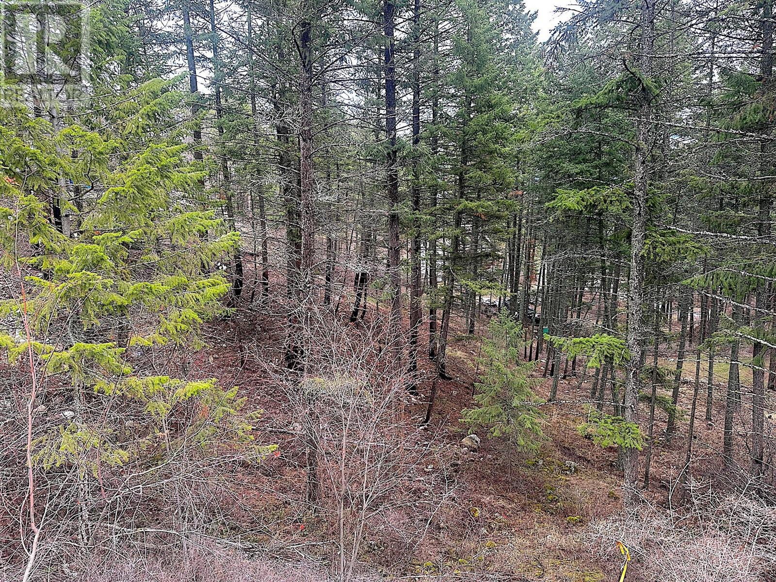 Lot 91 Houghton Road Lot# 91, Vernon, British Columbia  V1H 2C9 - Photo 6 - 10340509