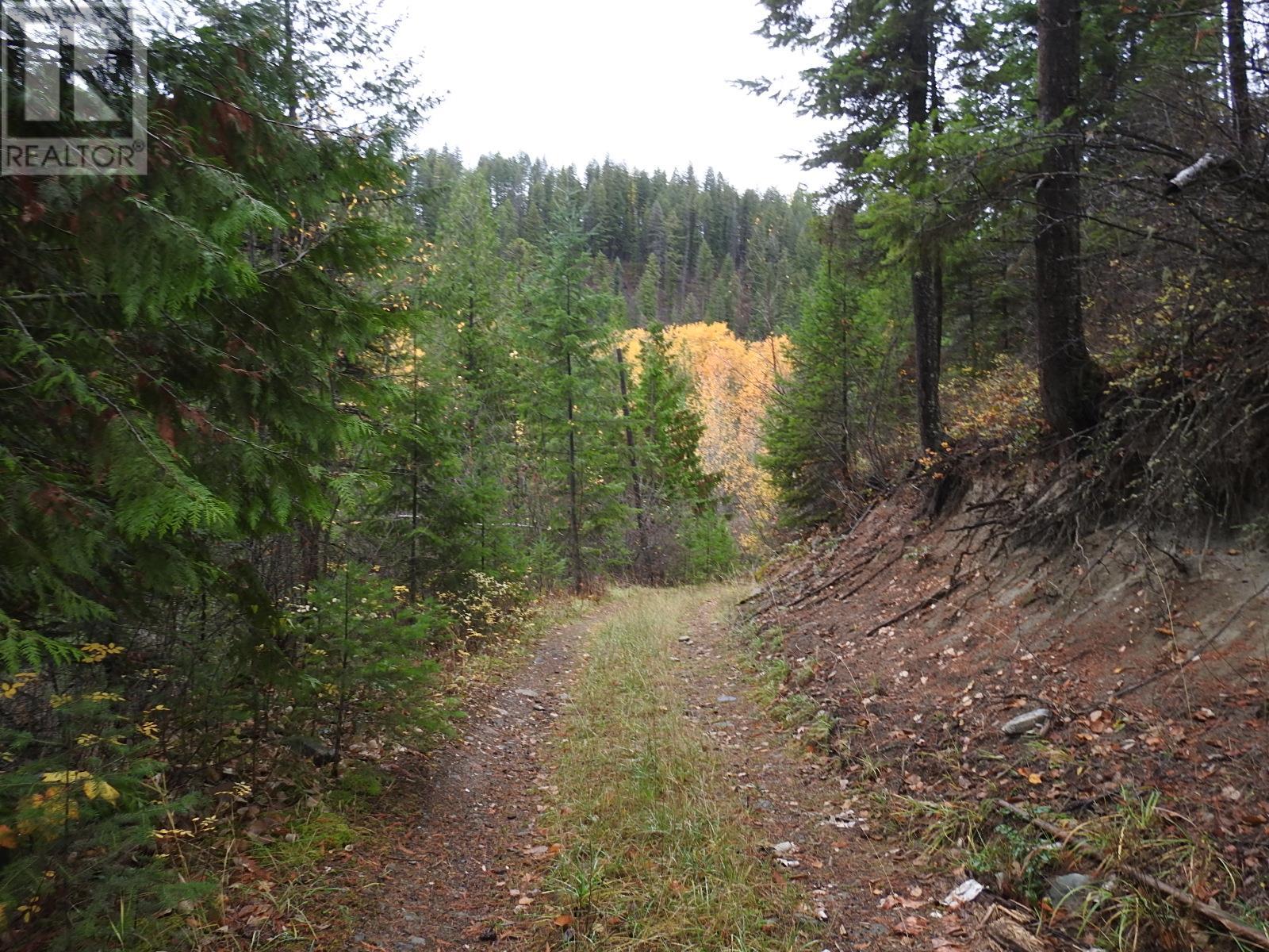 144 Acres South Fork Road, Cherryville, British Columbia  V0E 2G3 - Photo 10 - 10339844