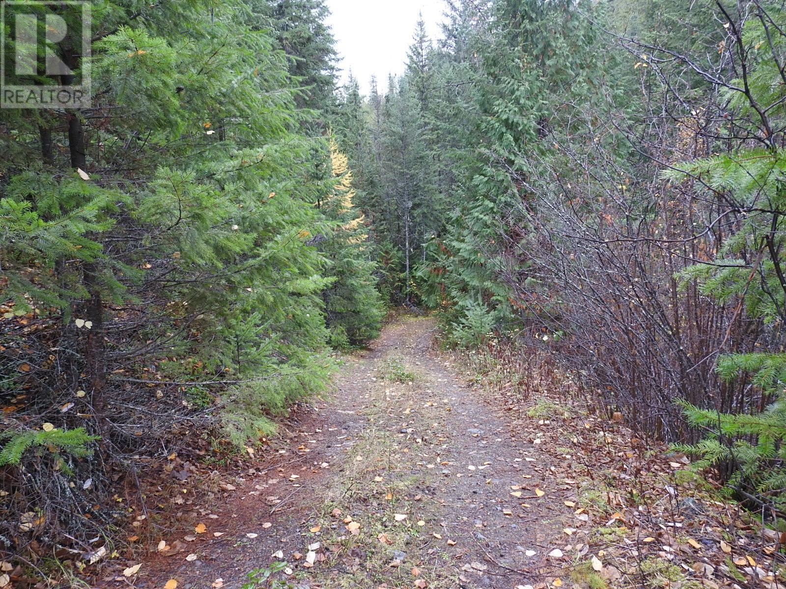 144 Acres South Fork Road, Cherryville, British Columbia  V0E 2G3 - Photo 12 - 10339844