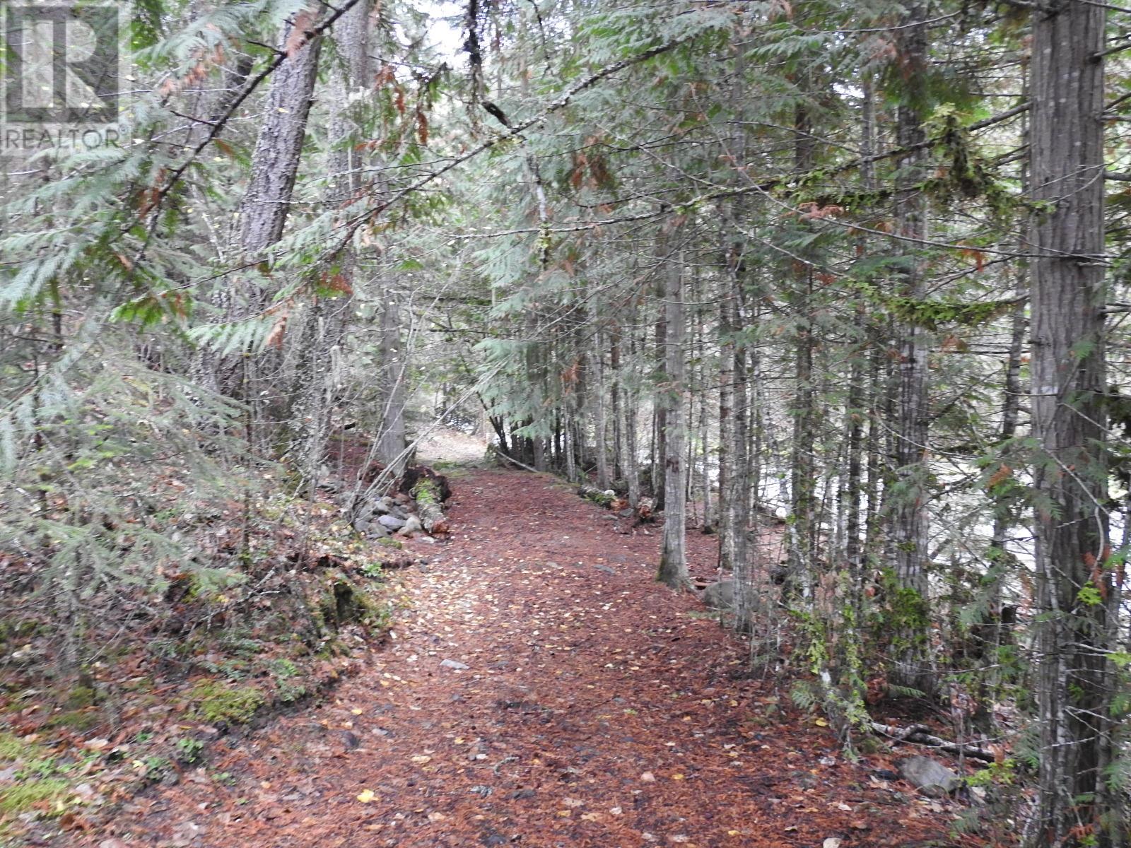 144 Acres South Fork Road, Cherryville, British Columbia  V0E 2G3 - Photo 13 - 10339844