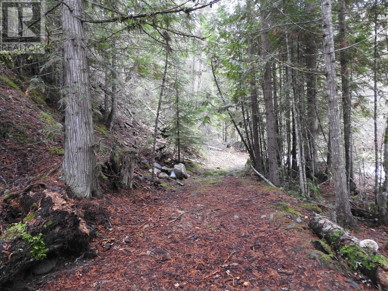 144 Acres South Fork Road, Cherryville, British Columbia  V0E 2G3 - Photo 14 - 10339844