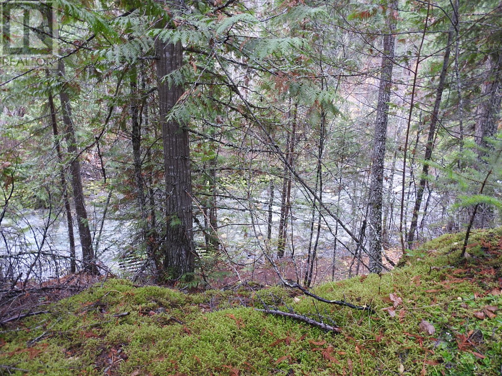 144 Acres South Fork Road, Cherryville, British Columbia  V0E 2G3 - Photo 25 - 10339844