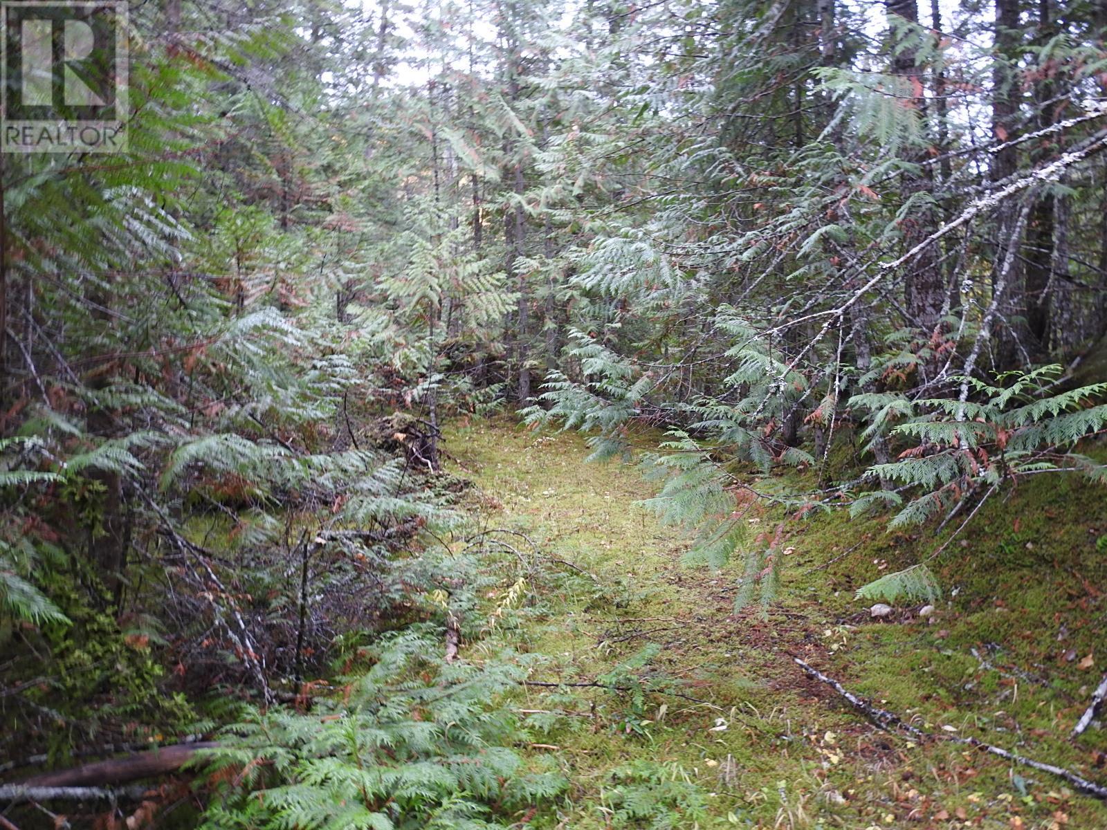 144 Acres South Fork Road, Cherryville, British Columbia  V0E 2G3 - Photo 26 - 10339844