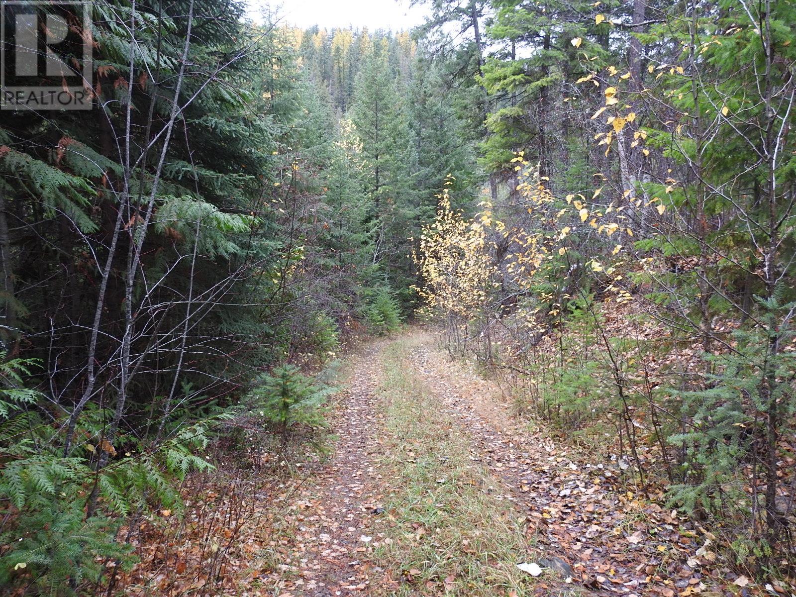 144 Acres South Fork Road, Cherryville, British Columbia  V0E 2G3 - Photo 30 - 10339844