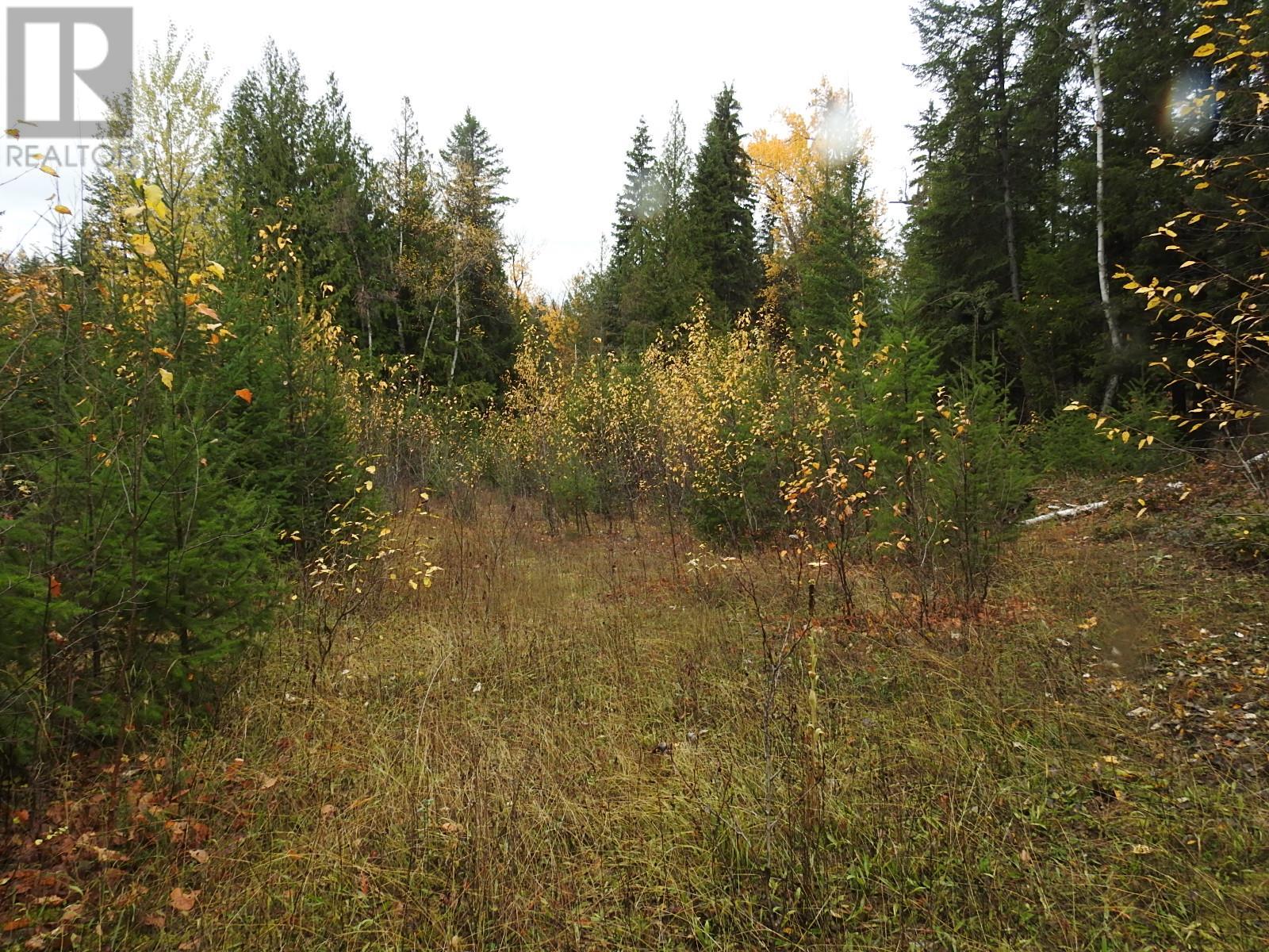 144 Acres South Fork Road, Cherryville, British Columbia  V0E 2G3 - Photo 31 - 10339844