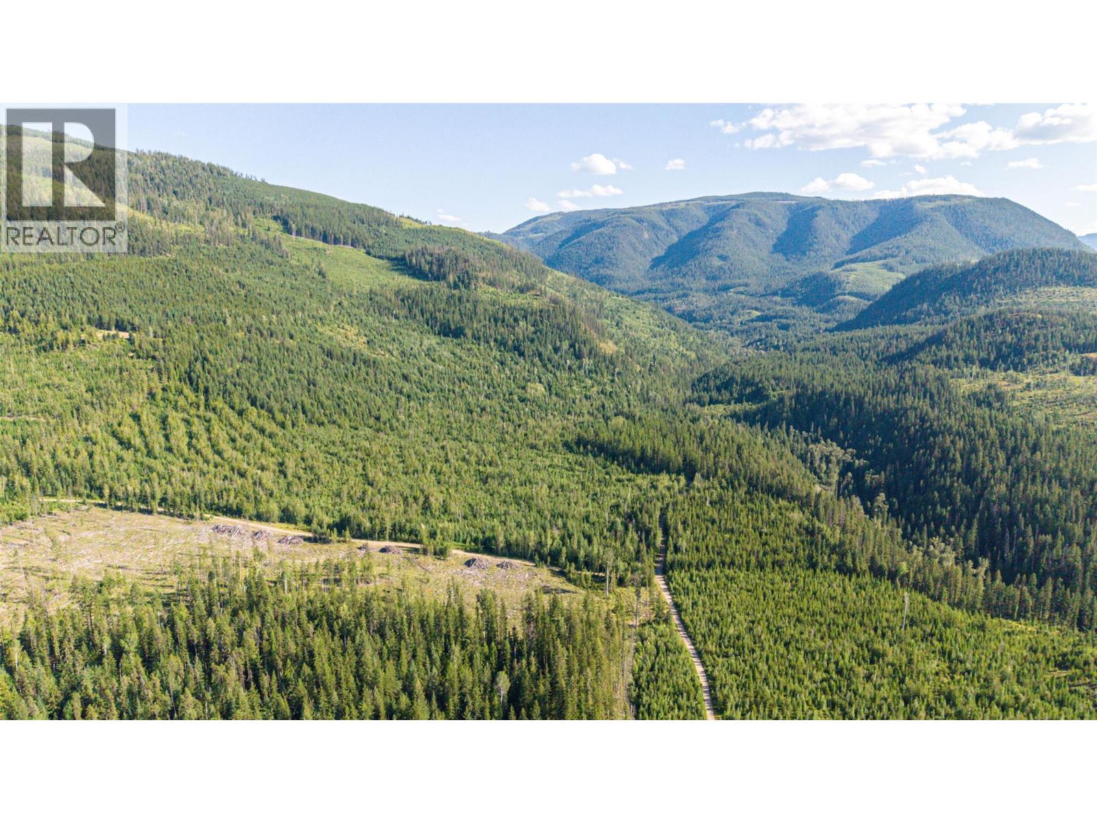 144 Acres South Fork Road, Cherryville, British Columbia  V0E 2G3 - Photo 44 - 10339844