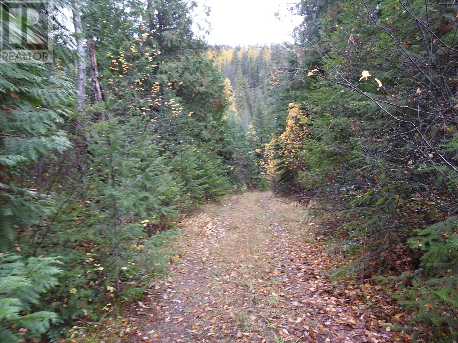 144 Acres South Fork Road, Cherryville, British Columbia  V0E 2G3 - Photo 9 - 10339844