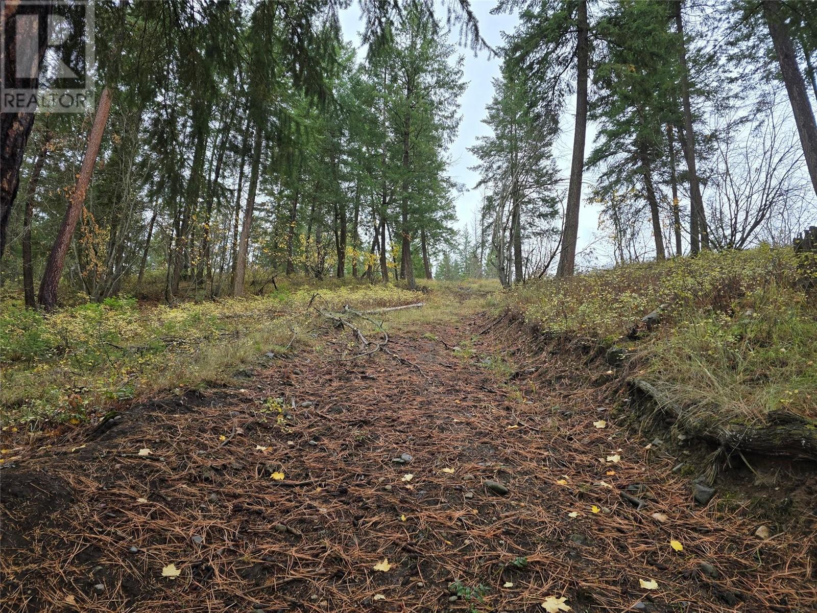 5135 Salmon River Road, Spallumcheen, British Columbia  V0E 1B4 - Photo 2 - 10340711