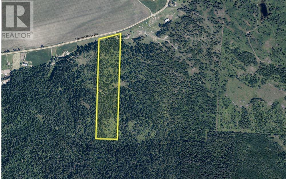 5135 Salmon River Road, Spallumcheen, British Columbia  V0E 1B4 - Photo 3 - 10340711