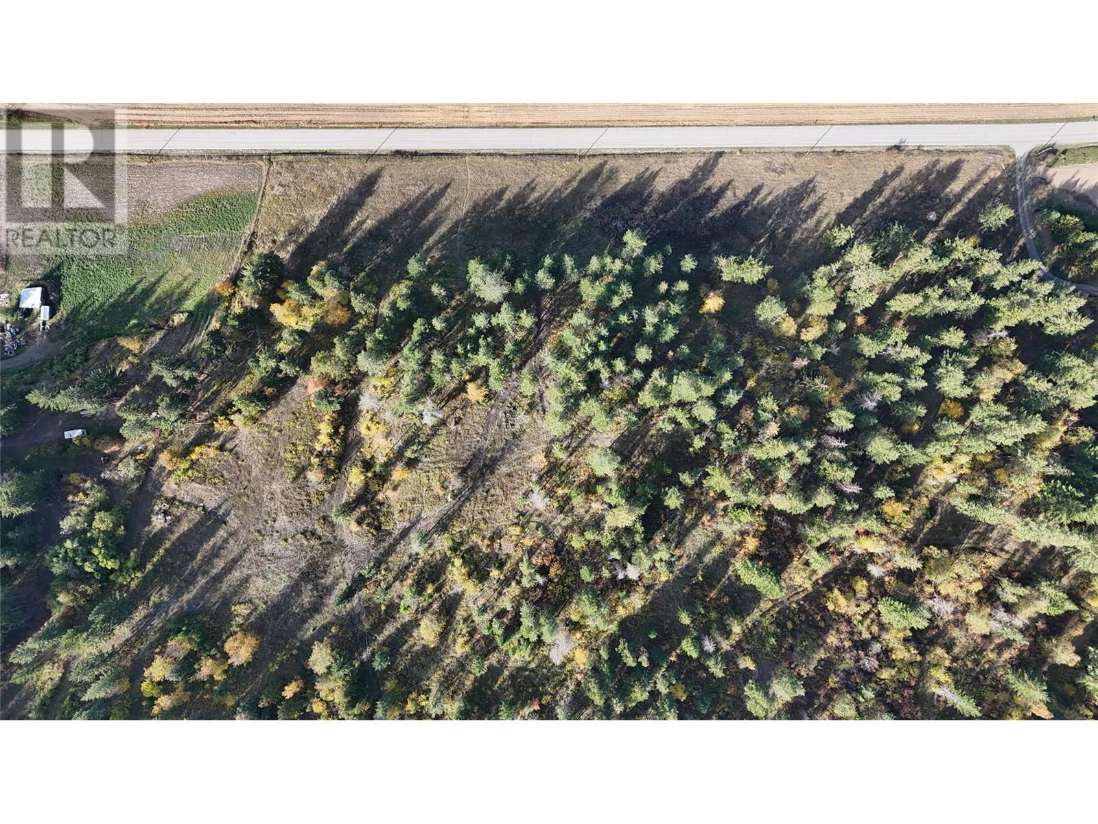 5135 Salmon River Road, Spallumcheen, British Columbia  V0E 1B4 - Photo 4 - 10340711