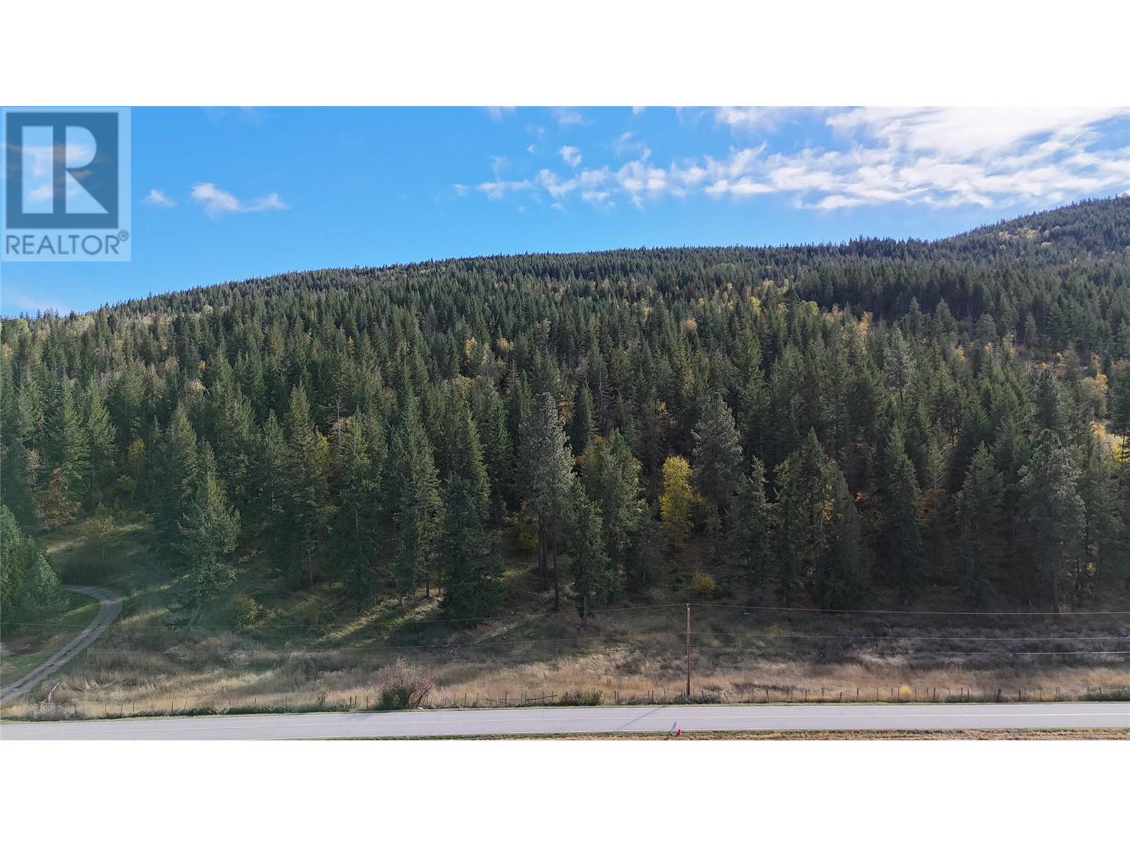 5135 Salmon River Road, Spallumcheen, British Columbia  V0E 1B4 - Photo 5 - 10340711