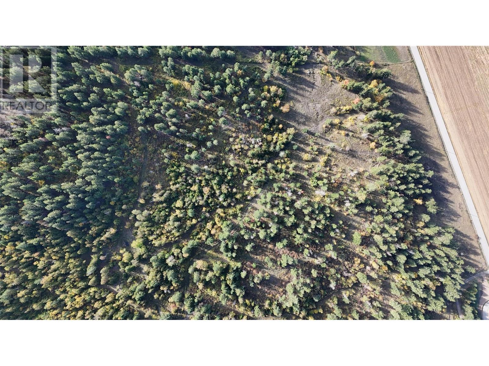 5135 Salmon River Road, Spallumcheen, British Columbia  V0E 1B4 - Photo 7 - 10340711