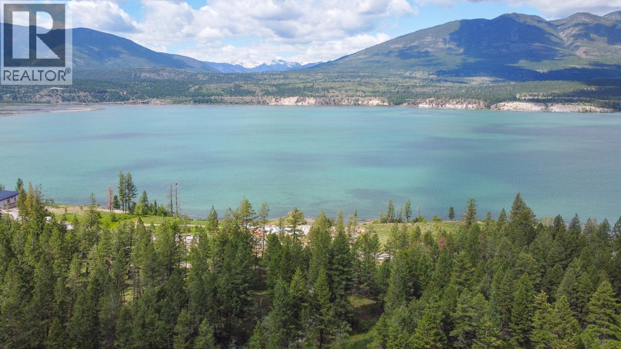 8785 Grainger Road, Canal Flats, British Columbia  V0B 1B0 - Photo 3 - 10340728