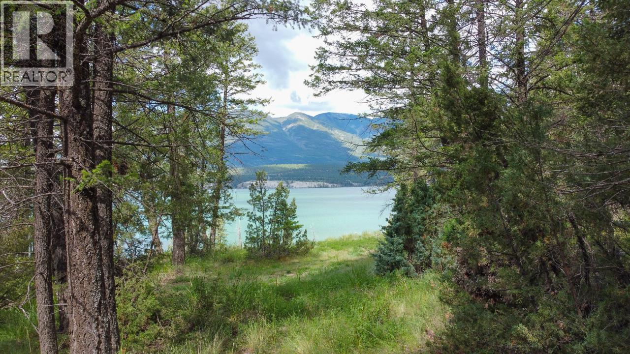 8785 Grainger Road, Canal Flats, British Columbia  V0B 1B0 - Photo 5 - 10340728