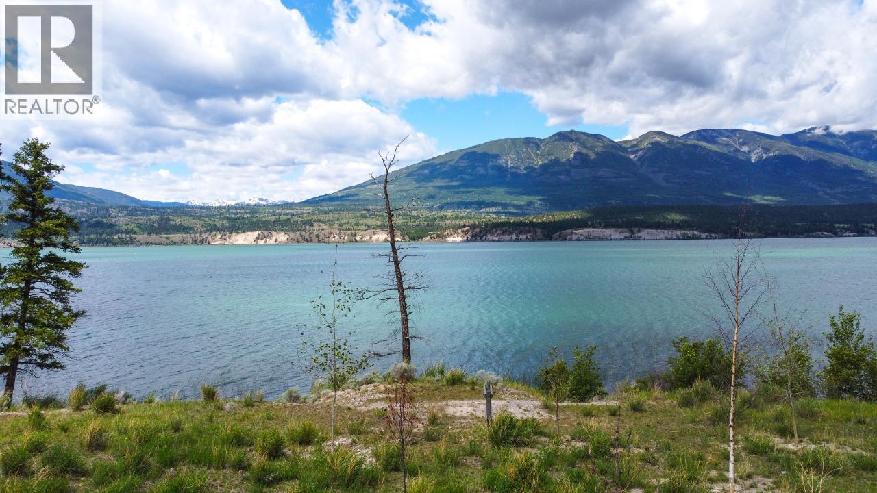 8692 Cottage Lane, Canal Flats, British Columbia  V0B 1B0 - Photo 9 - 10340731