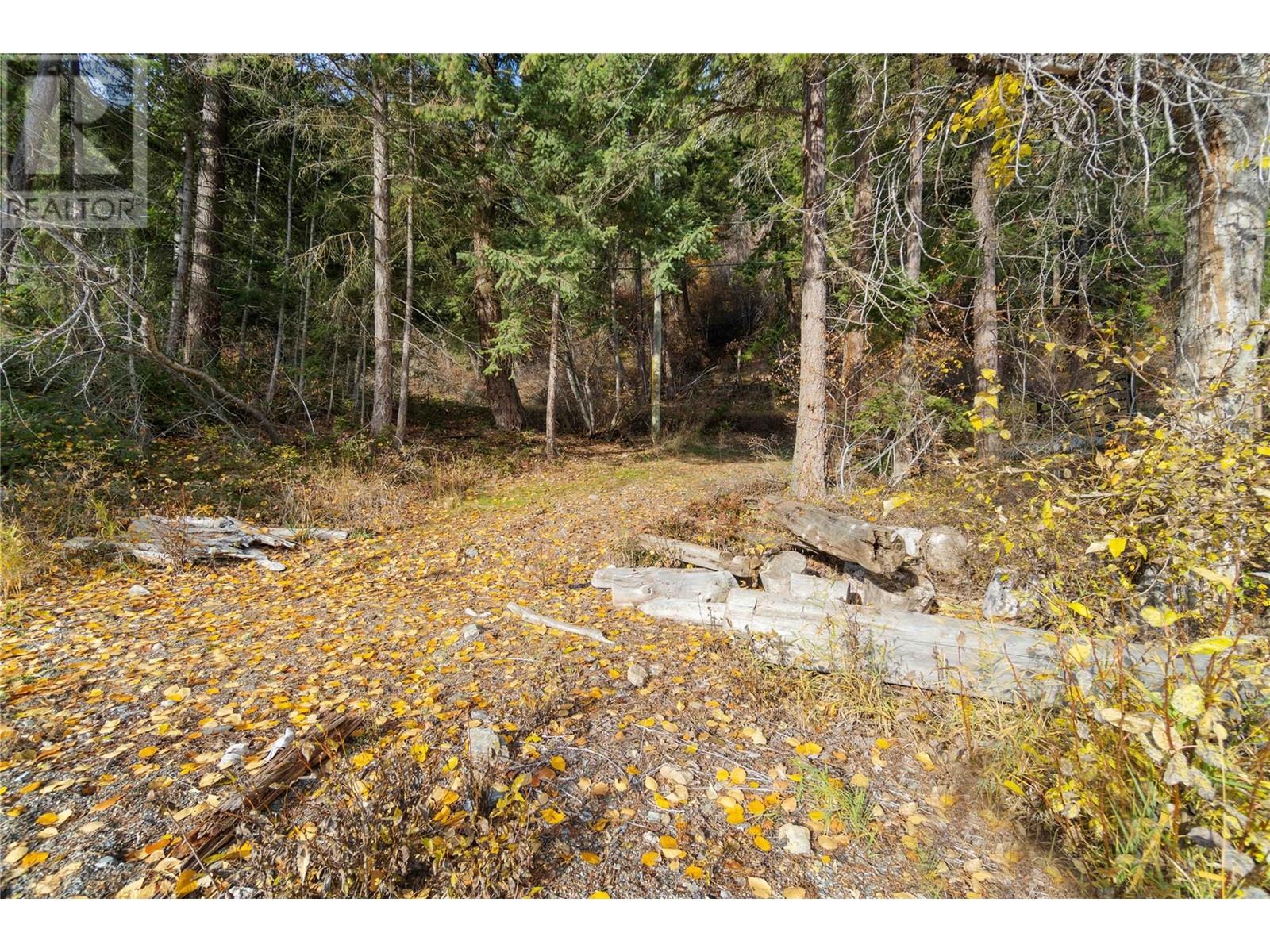 Lot 3 Sunnybrae Canoe Point Road, Tappen, British Columbia  V0E 2X1 - Photo 35 - 10340722