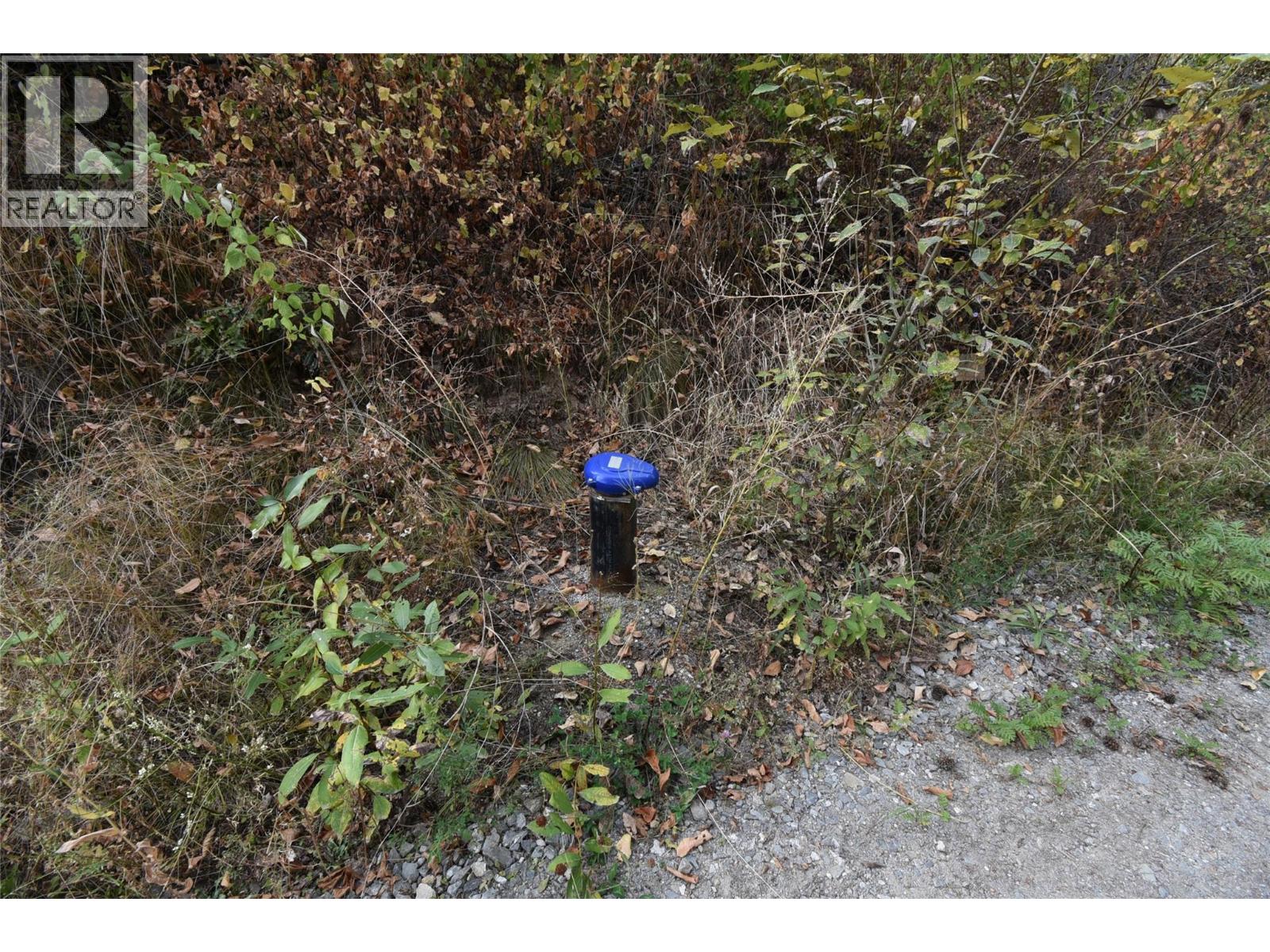 243 Crooked Pine Road, Enderby, British Columbia  V0E 1V1 - Photo 7 - 10340919