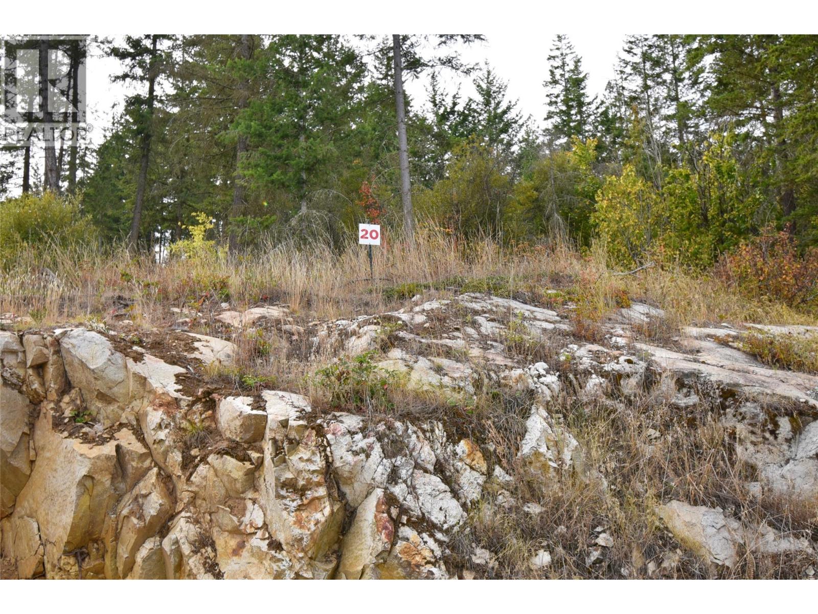 236 Crooked Pine Road, Enderby, British Columbia  V0E 1V1 - Photo 1 - 10340911