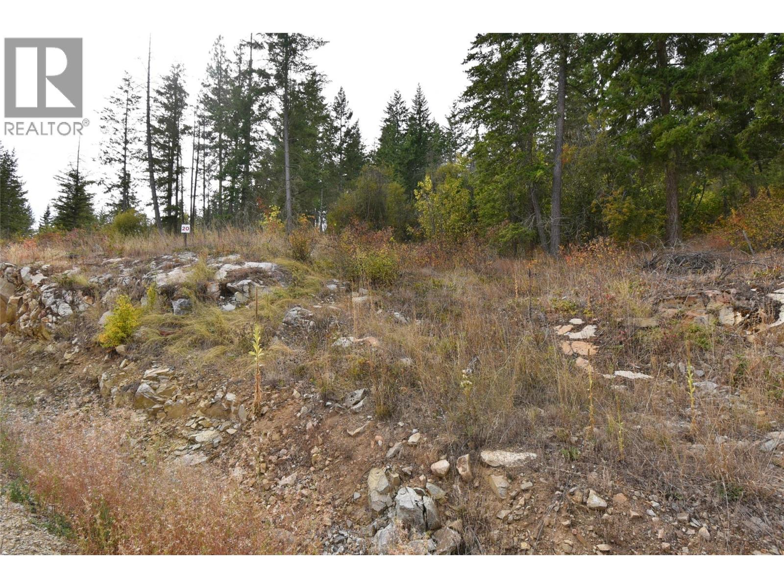 236 Crooked Pine Road, Enderby, British Columbia  V0E 1V1 - Photo 6 - 10340911