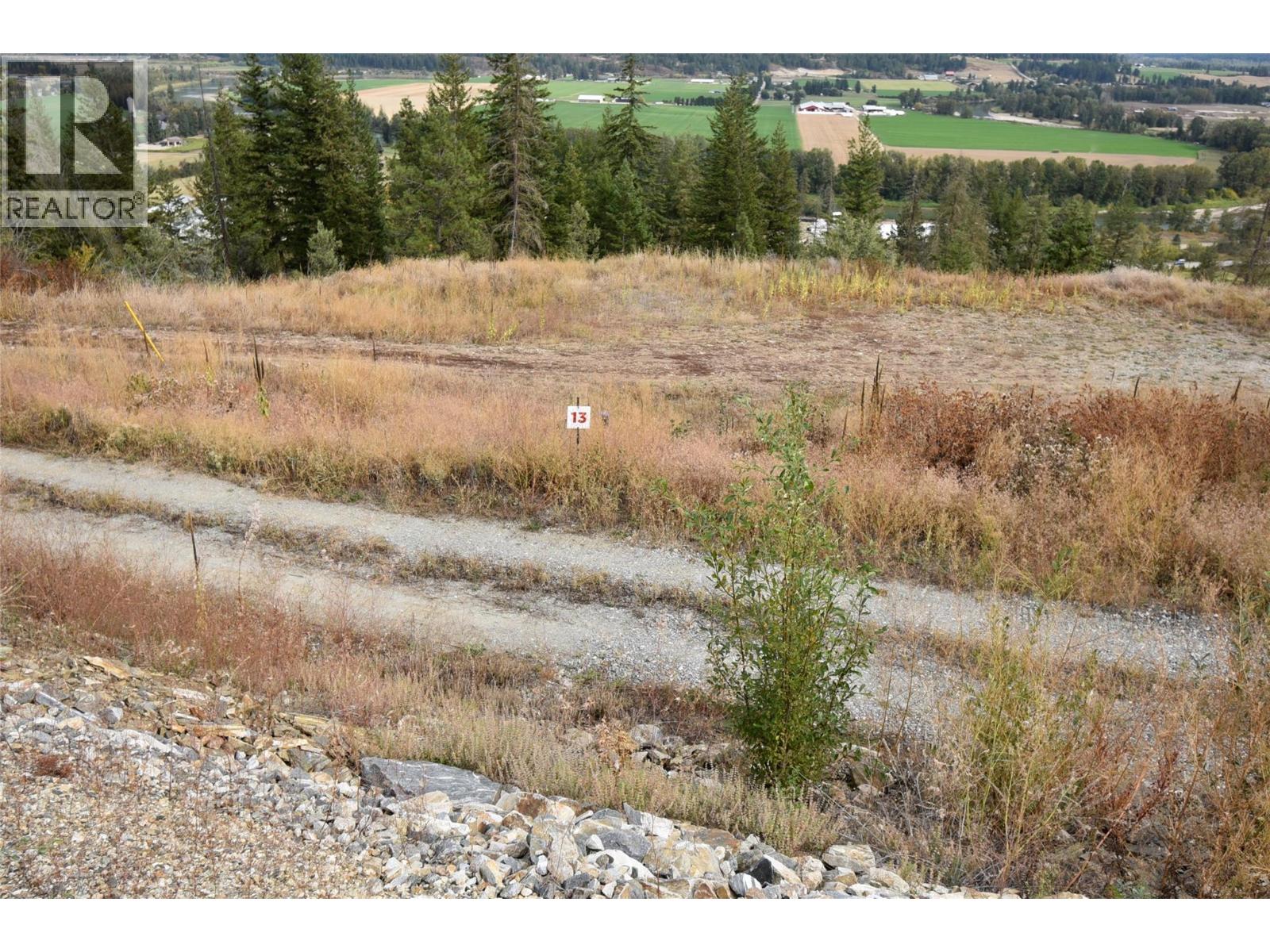 225 Crooked Pine Road, Enderby, British Columbia  V0E 1V1 - Photo 1 - 10340890