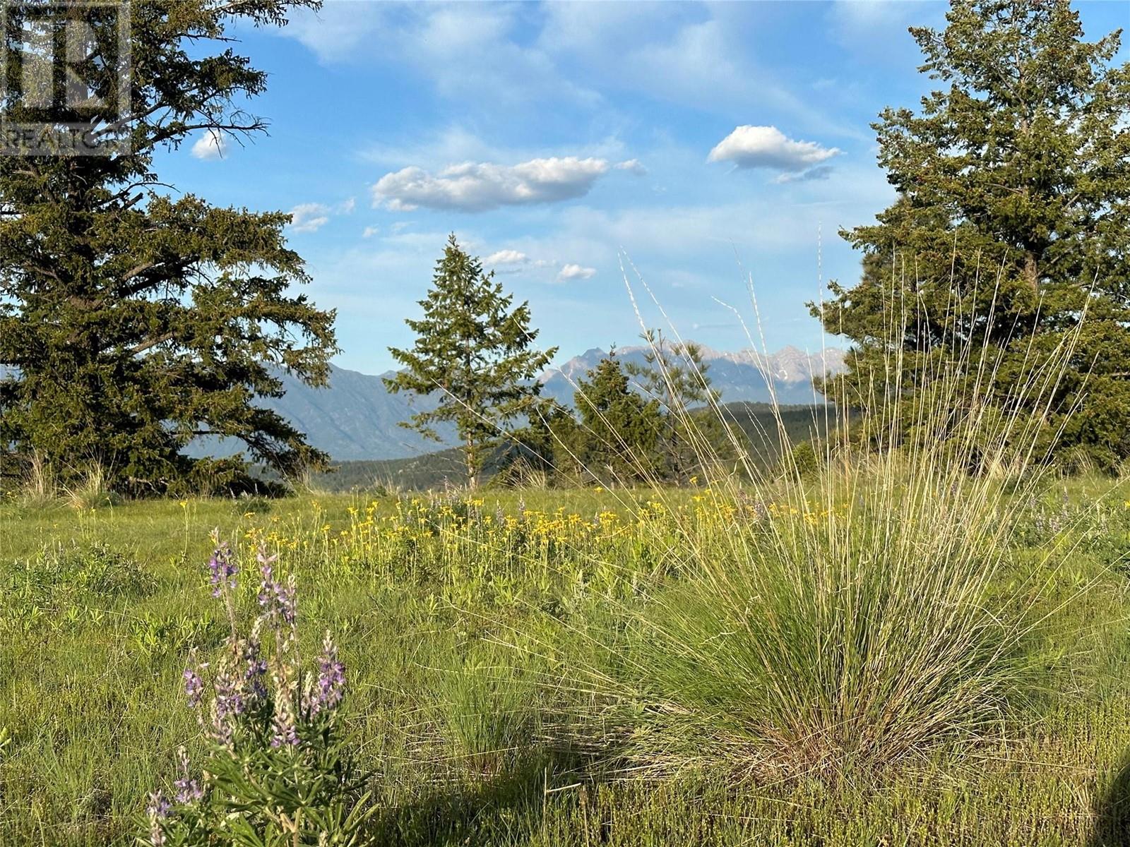 6145 Parnaby Road (Lot A9), Cranbrook, British Columbia  V1C 0C2 - Photo 16 - 10340859