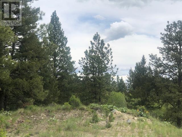 410 Sasquatch Trail Lot# Lot 26, Osoyoos, British Columbia  V0H 1V6 - Photo 2 - 10341472
