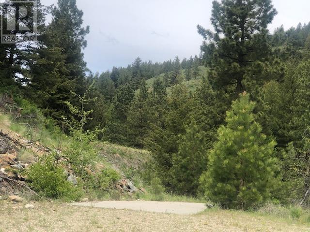 410 Sasquatch Trail Lot# Lot 26, Osoyoos, British Columbia  V0H 1V6 - Photo 4 - 10341472