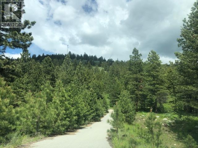 410 Sasquatch Trail Lot# Lot 26, Osoyoos, British Columbia  V0H 1V6 - Photo 5 - 10341472