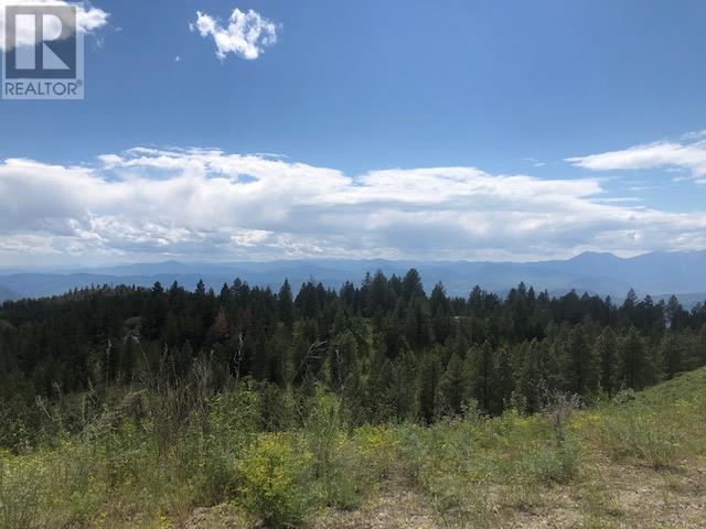 410 Sasquatch Trail Lot# Lot 26, Osoyoos, British Columbia  V0H 1V6 - Photo 9 - 10341472