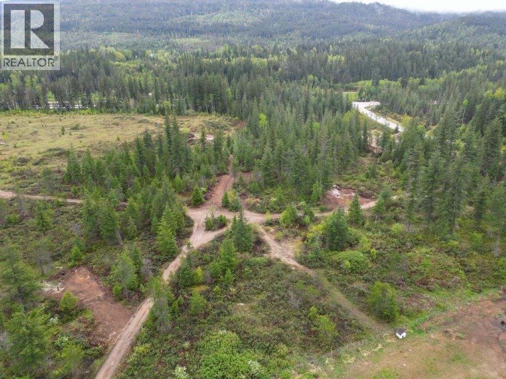 4103 Balsam Way, Malakwa, British Columbia  V0E 2J0 - Photo 1 - 10341433