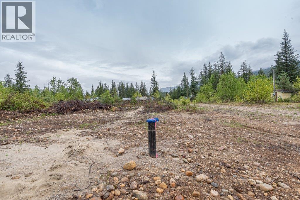 4103 Balsam Way, Malakwa, British Columbia  V0E 2J0 - Photo 10 - 10341433