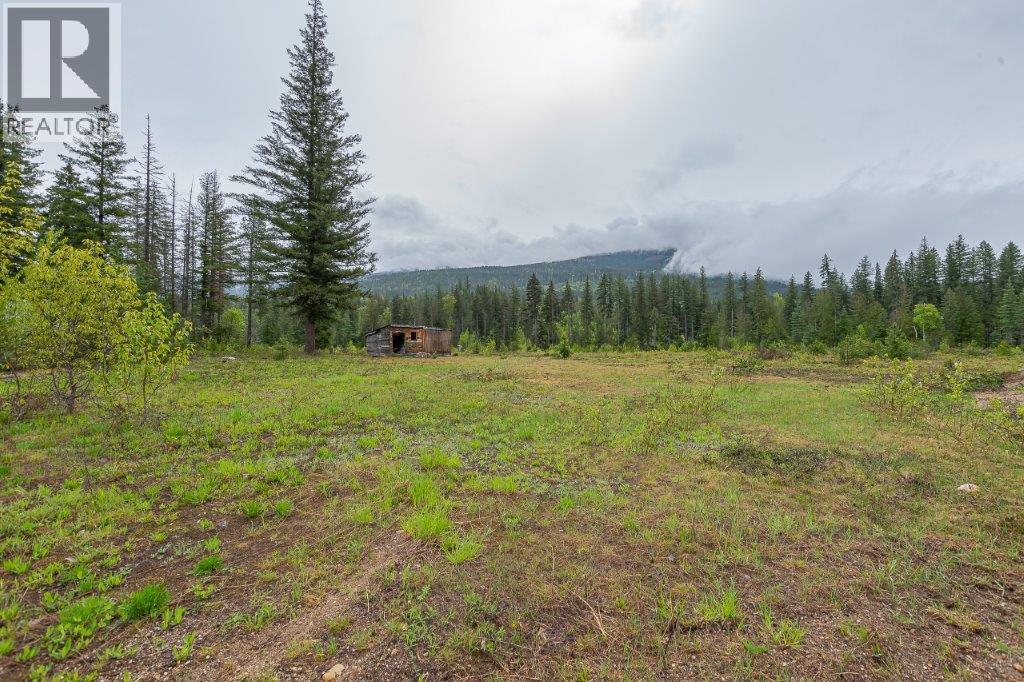 4103 Balsam Way, Malakwa, British Columbia  V0E 2J0 - Photo 12 - 10341433