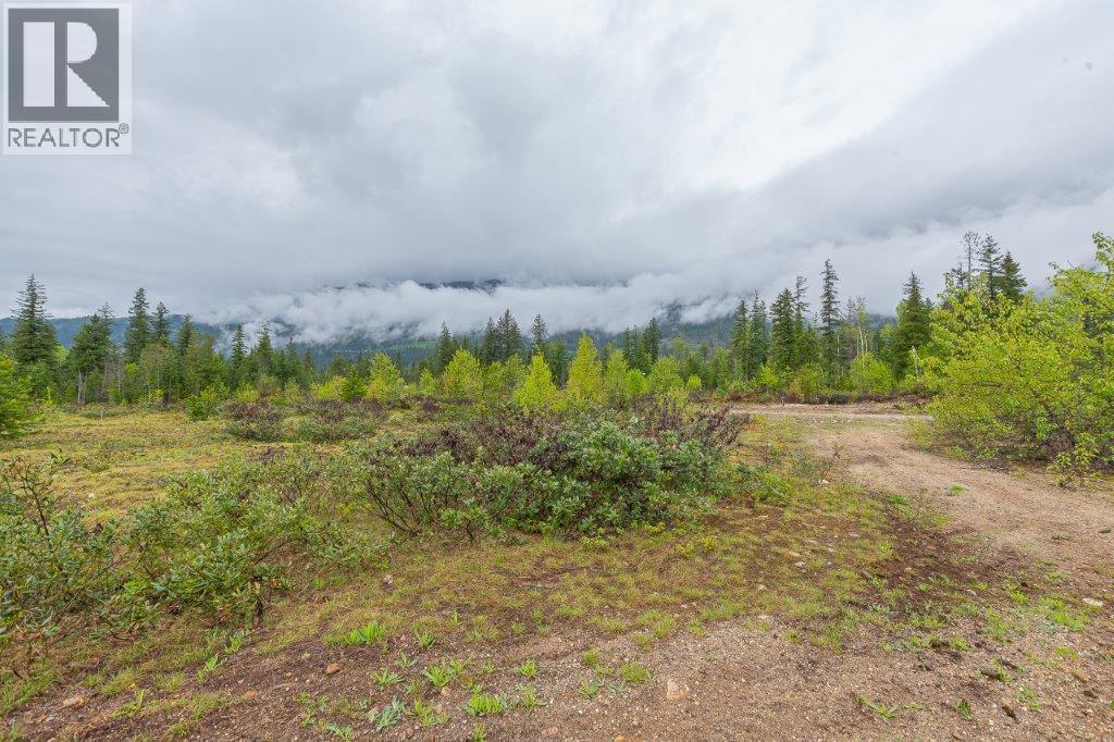 4103 Balsam Way, Malakwa, British Columbia  V0E 2J0 - Photo 13 - 10341433