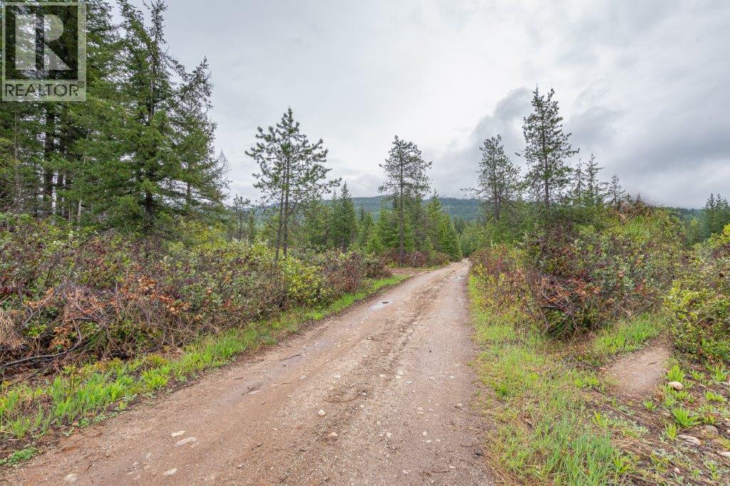 4103 Balsam Way, Malakwa, British Columbia  V0E 2J0 - Photo 14 - 10341433