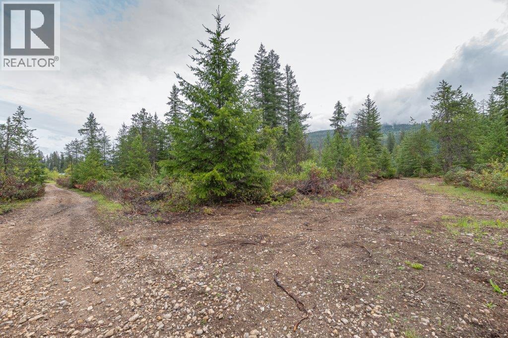 4103 Balsam Way, Malakwa, British Columbia  V0E 2J0 - Photo 15 - 10341433