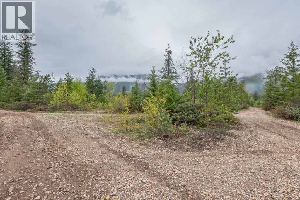 4103 Balsam Way, Malakwa, British Columbia  V0E 2J0 - Photo 16 - 10341433