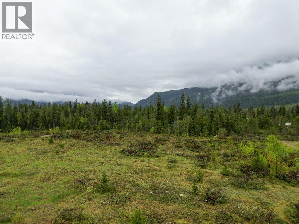 4103 Balsam Way, Malakwa, British Columbia  V0E 2J0 - Photo 17 - 10341433