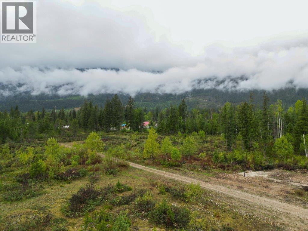 4103 Balsam Way, Malakwa, British Columbia  V0E 2J0 - Photo 18 - 10341433