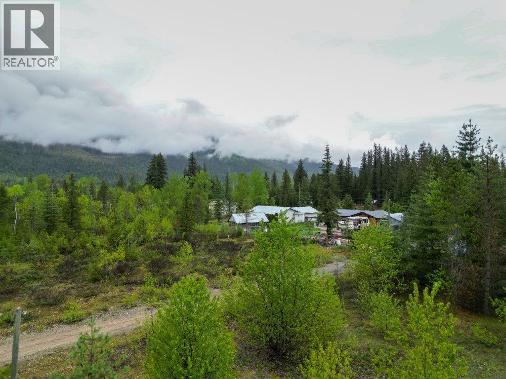 4103 Balsam Way, Malakwa, British Columbia  V0E 2J0 - Photo 19 - 10341433